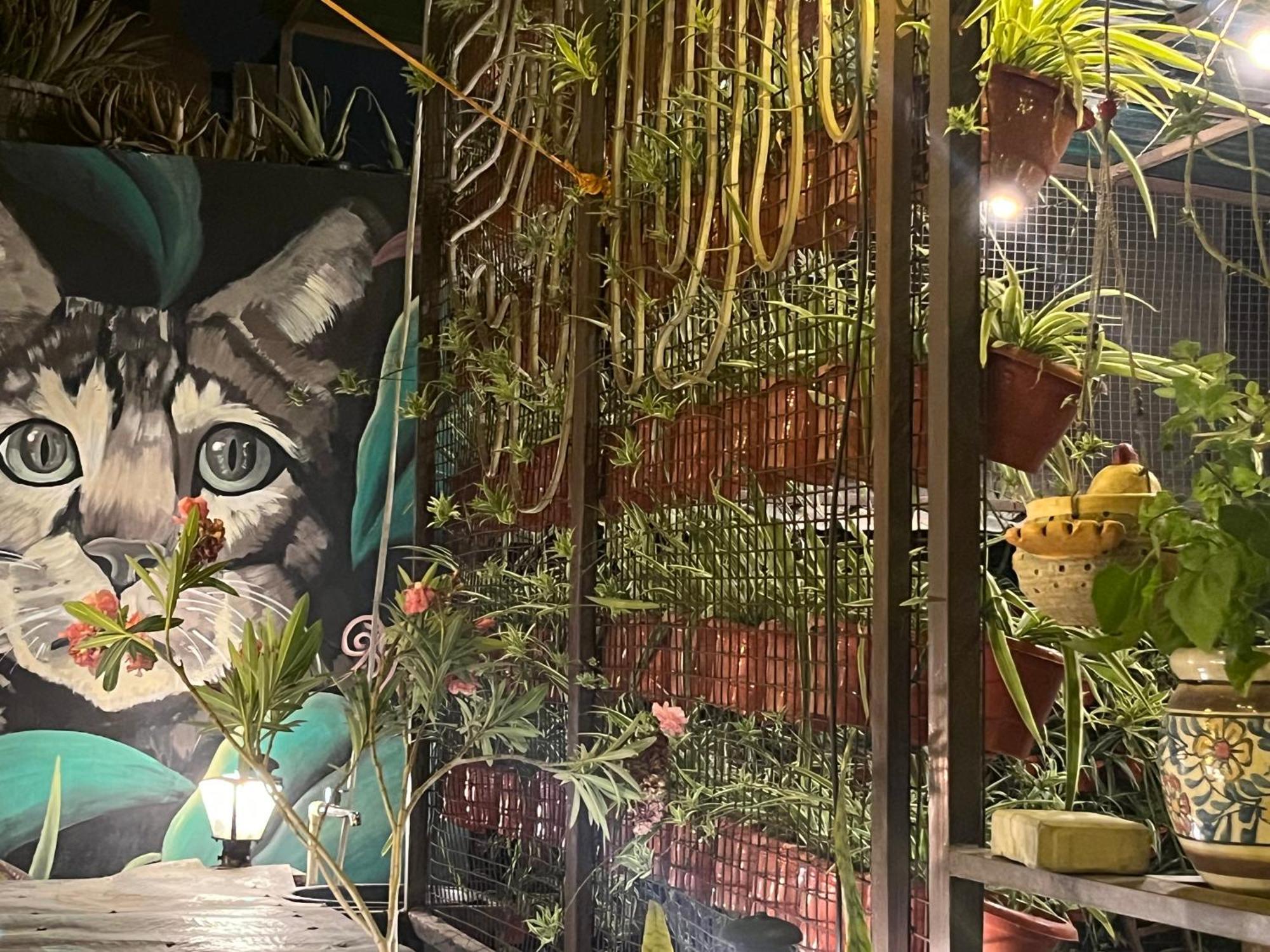 Apartamento Anavrin Art House Nueva Delhi Exterior foto